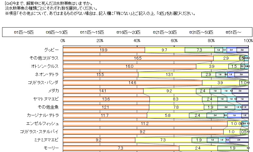 熱帯魚死亡率